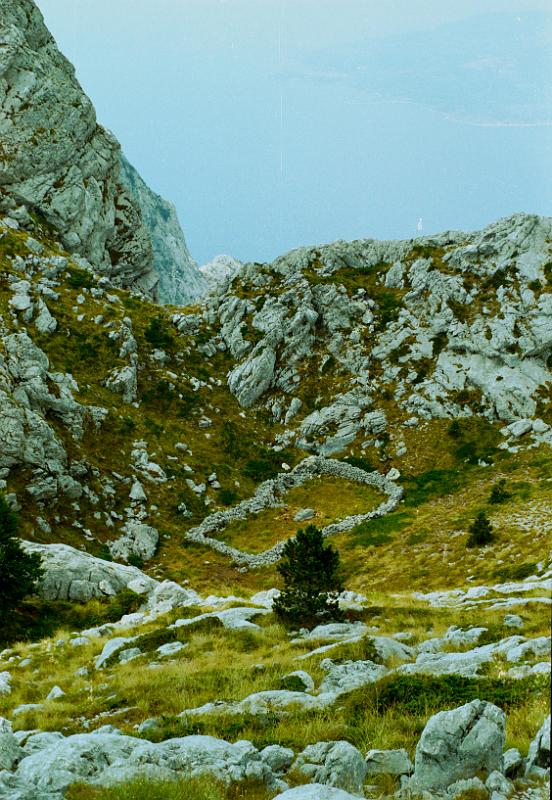 Original image