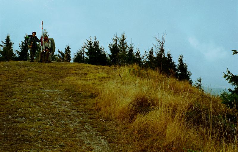 Original image
